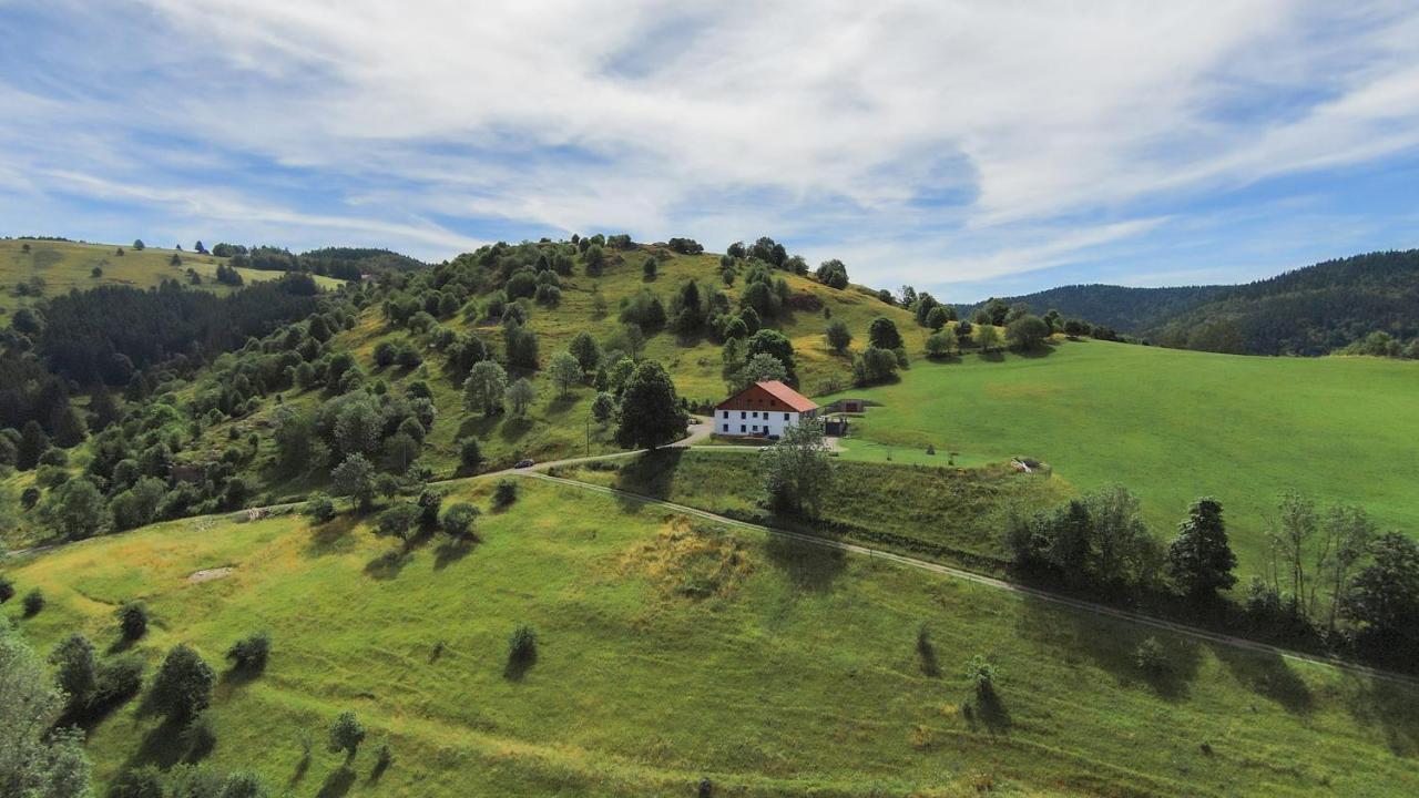 Gites De Moyenmont La Bresse Luaran gambar