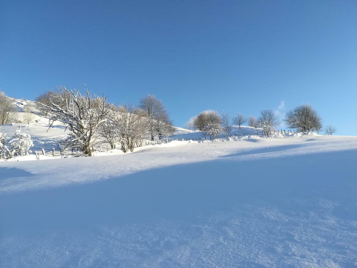 Gites De Moyenmont La Bresse Luaran gambar